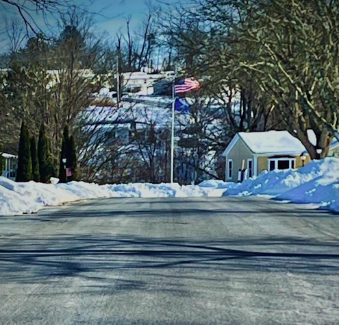 Community Flag by Adam Anik