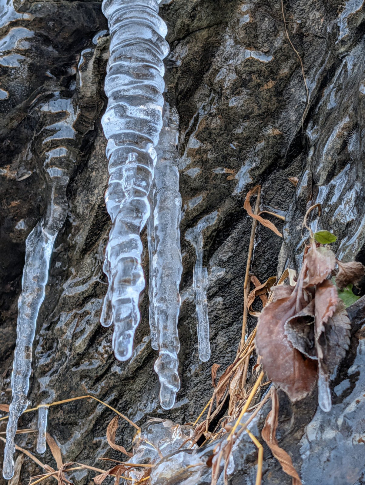icicle